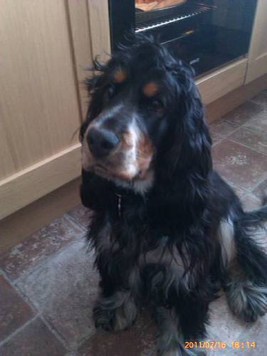 Jo1377's profile picture. 