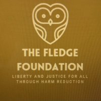 The Fledge Foundation (@fledgenonprofit) 's Twitter Profile