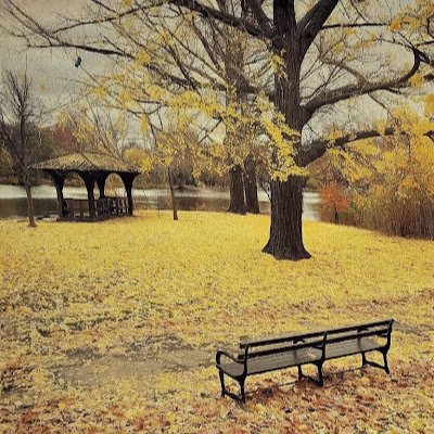 hopping_bryan's profile picture. 