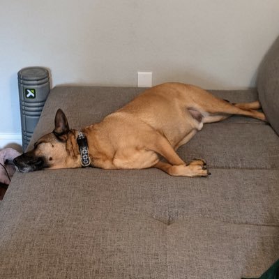 PrideOfAustinTx's profile picture.