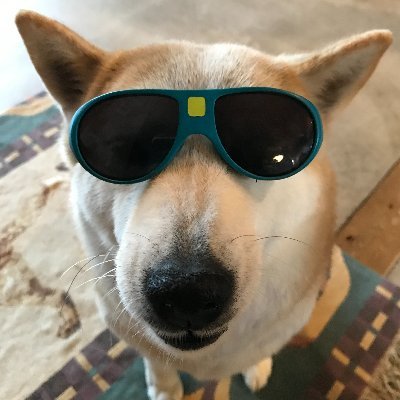 hihiinu's profile picture. 投資記録用
つみたて投資信託：2014年10月～、国内個別株投資：2018年12月～、不動産投資（戸建、区分）：2016年5月～