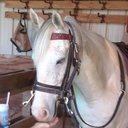 Sara Parsons - @SaraPar10940750 - Twitter