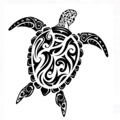 TurtleMaoriFund's profile picture. Find a way to navigate dark sea waters