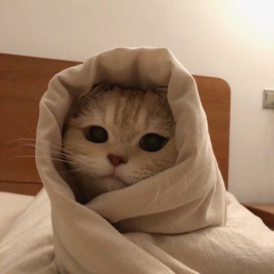 Rainyさんのプロフィール画像