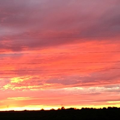 StormDetector's profile picture. 