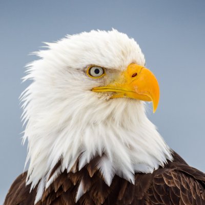 EllieCourageous's profile picture. Truth. Freedom. Faith. Family. #2A