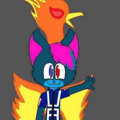 furry 19
Not a raffle account I just respond to raffles.