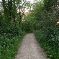 FORSEE (@coolandwalk) 's Twitter Profile