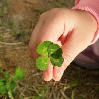 ispring1105's profile picture. #삼남매맘의 일상생활#
#부자되고싶어요#