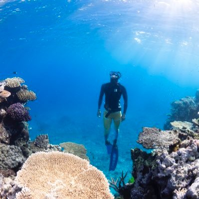 ColetteAppert's profile picture. 📖 MSc Marine Biology - James Cook University
🐄 Doctor of Veterinary Medecine
🐟 Fish and Fisheries lab