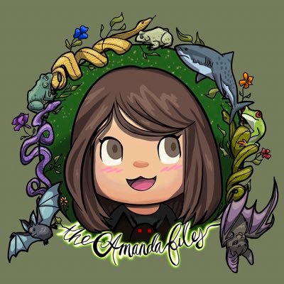 🌱zoologist & nightmare youtuber. enjoyer of every animal ever, neopets, bg3, electric pokemon, bullying animal crossing villagers & shadow the hedgehog