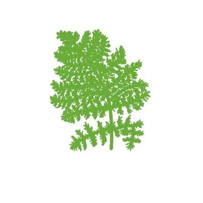 jsm9219's profile picture. NFT - excited about it!