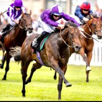 DaveLoughnaneRacing(@DaveLoughnane_) 's Twitter Profile Photo