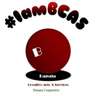 Manager @ Bapala Creative Art's and Services which is a township theatre, centre for Creativity and Innovation