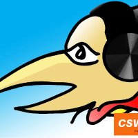 CSWS FISIP UNAIR (@cswsunair) 's Twitter Profile