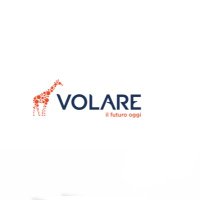 Volare (@volareass) 's Twitter Profile