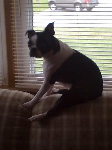 TomHastings1's profile picture. I'm a blogger who just loves to blog.