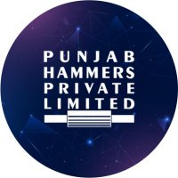 Punjab Hammers(@PunjabHammers) 's Twitter Profile Photo