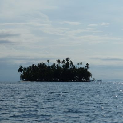 MiRautweet's profile picture. 