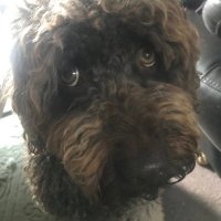 steve marsham (@stevemarsham) 's Twitter Profile