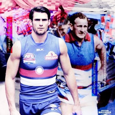 WESTERN BULLDOGS 2016 PREMIERS