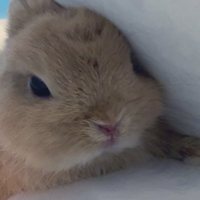 のさんのプロフィール画像