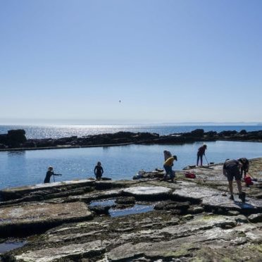 The campaign to restore Cellardyke's tidal pool starts here. Please join & donate! ⬇️