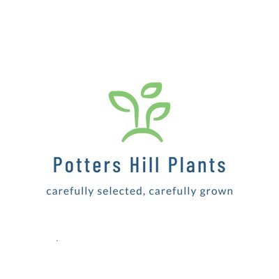 We are a small, family run, independent plant nursery growing carefully selected plants in Hillsborough, Co Down. Perennials,ferns and grasses.