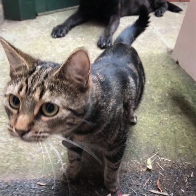 dwilkinson6120's profile picture. I am mother of two adult children and grandmother to one furry grandchild :)  I like to learn something new every day.