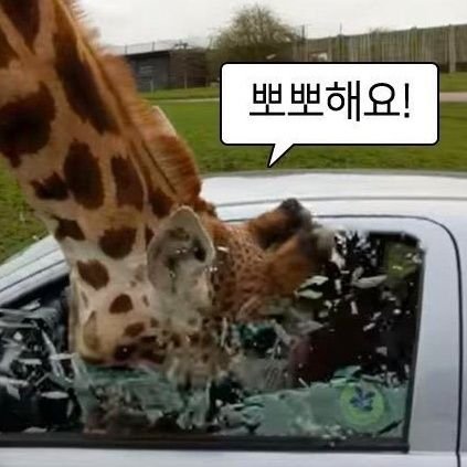 피냐타さんのプロフィール画像
