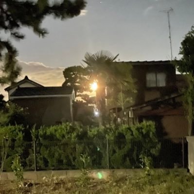 lug_navy's profile picture. 