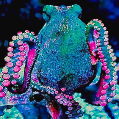 SleepyOctopus Profile Picture
