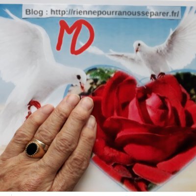 DanielBourhis's profile picture. Il faut que  ça  change. La FRANCE et les FRANCAIS D'ABORD