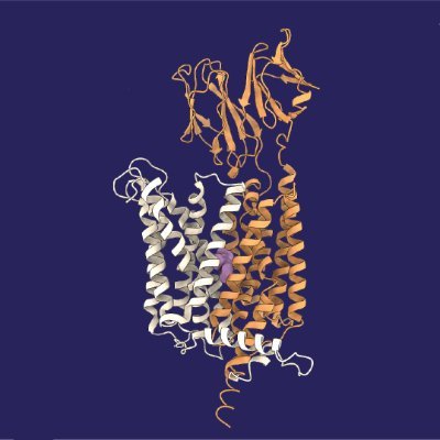 Our group characterises membrane proteins, using our expertise in cryoEM, crystallography, sybodies, in silico analysis, and liposome assays @EMBLHamburg @EMBL