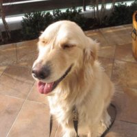 Daddy (@daddy0803) 's Twitter Profile