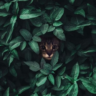 midori_haruki07's profile picture. 💚🤗