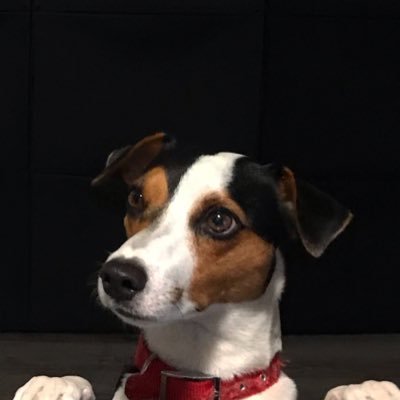 Stawix's profile picture. Life is routine.