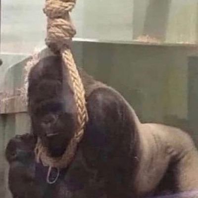 ahhhhcam's profile picture. what the fuck