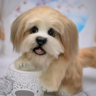 I love all animals, nature, music. I also like astronomy, astrology, sport and more .... ALL PICTURES ARE NOT MINE