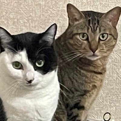 ベアハグさんのプロフィール画像