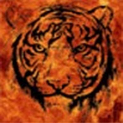 Aleksan40055437's profile picture. $MORI Mori coin! This is not just a coin, this is the future! https://t.co/zbEXJKbPwD
