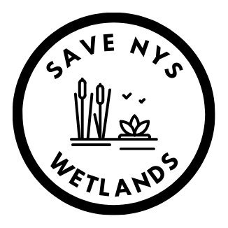 Working to save New York State's wetlands big and small.