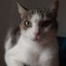 Nicia (@denise45194871) Twitter profile photo Nicia (@denise45194871) Twitter profile photo