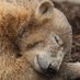 (HIBERNATION MODE) (@michaeltaddow) Twitter profile photo (HIBERNATION MODE) (@michaeltaddow) Twitter profile photo