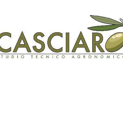 StudioCasciaro Profile Picture