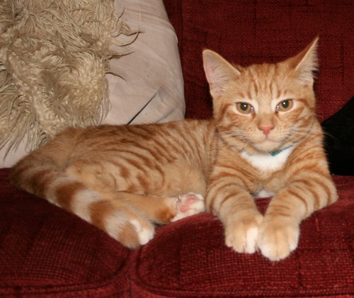 5bradley10's profile picture. 