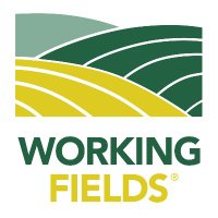 Working Fields (@workingfields) 's Twitter Profile