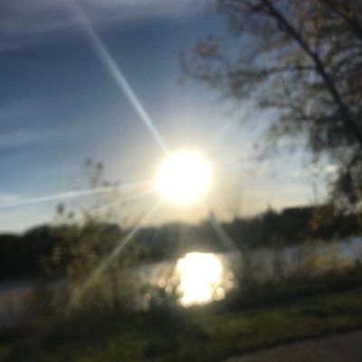 Rielizing's profile picture. conceptual explorer, plasma projector, fractal array inhabitor