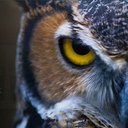 Aaron Mattox - @AaronMattox5 - Twitter