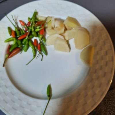 Polykloss's profile picture. Specail